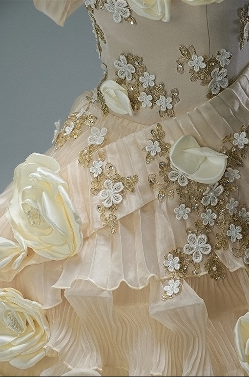 Dream of Devotion Embellished Vintage Gown