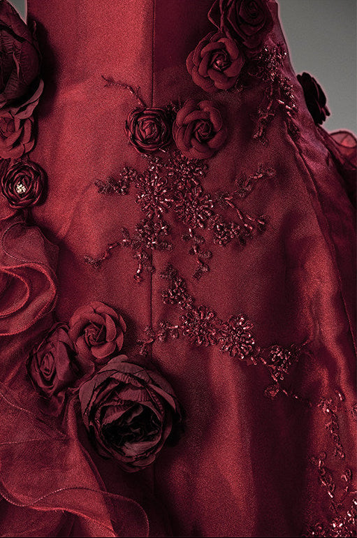 Devil’s Kiss Gradient Gown