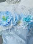 Luna Glacier Vintage Gown