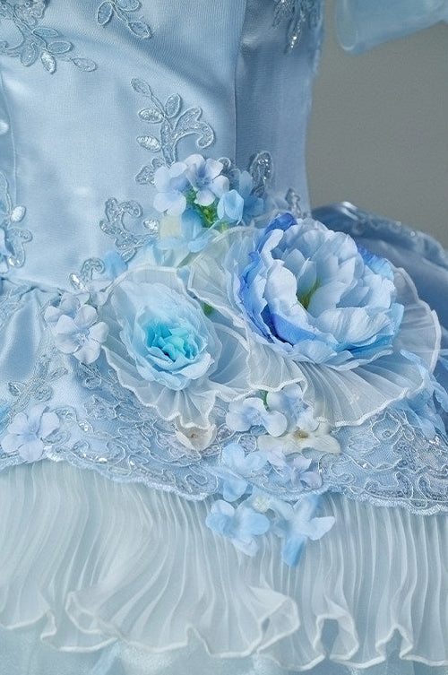 Luna Glacier Vintage Gown